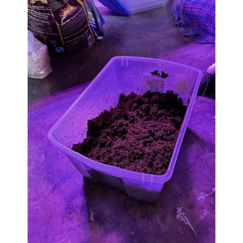 8 Pcs Premium Coco Coir Compressed Coconut Coir 100% Organic Coco Coir Brick